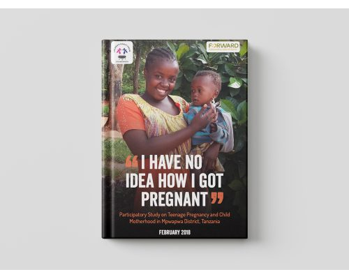 cdf-pub-i-have-no-idea-how-i-got-pregnant