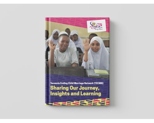 cdf-pub-tecmn-journey-and-insights